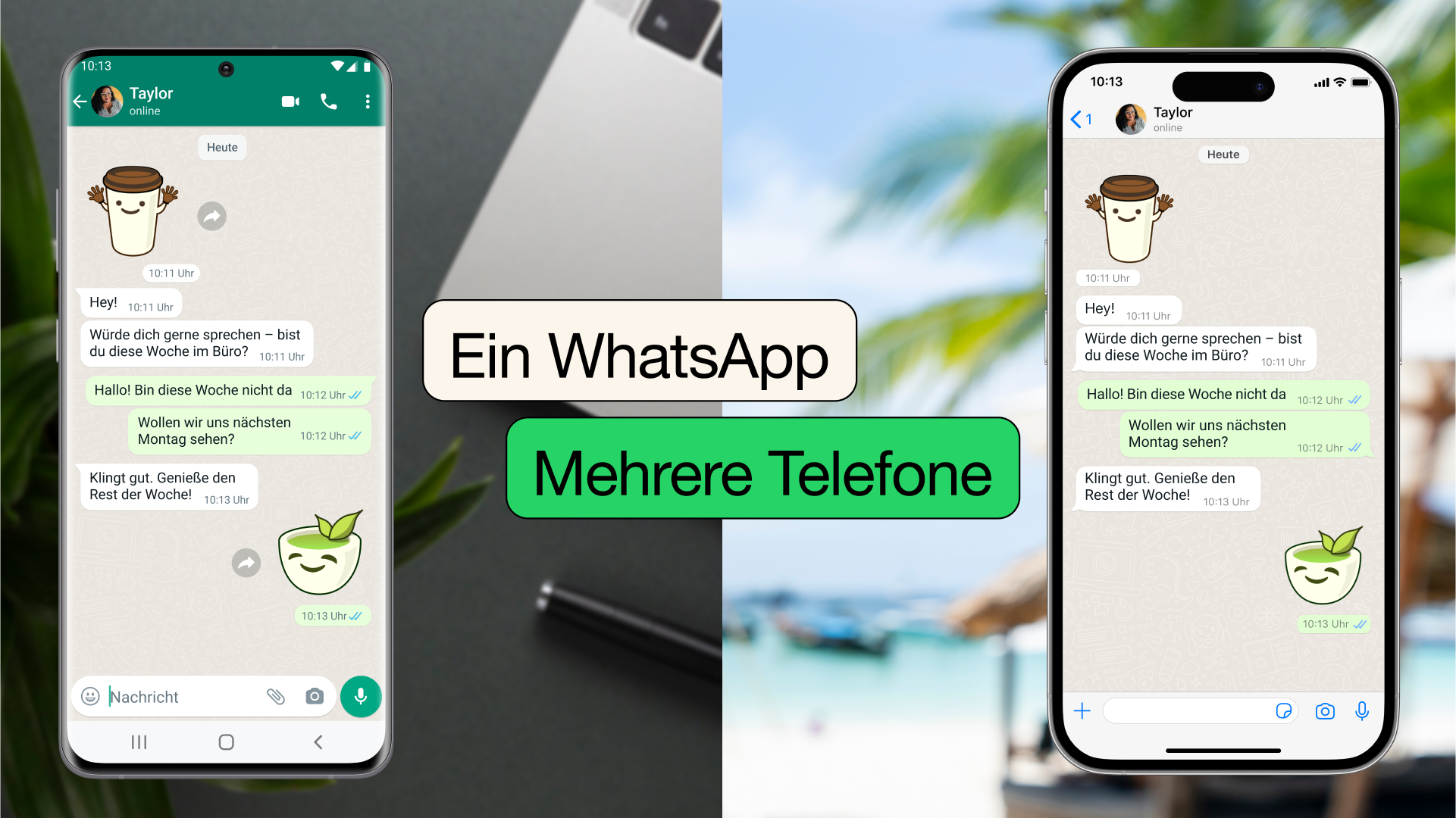 WhatsApp网页版登录提示网络错误的处理方法
